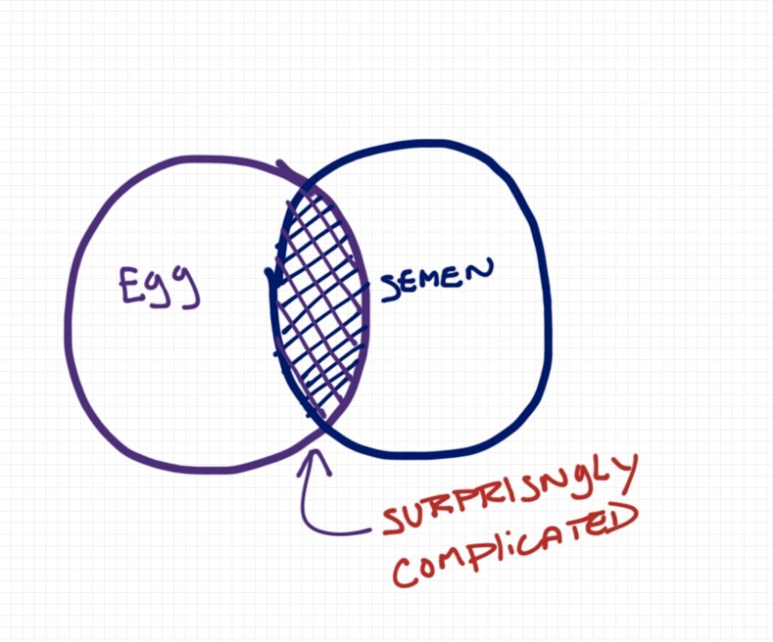 A drawing of the IVF process by Rob Pollak